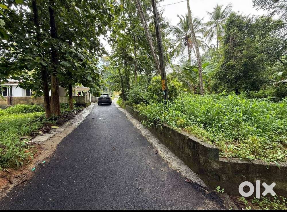 Plot for Sale- Near M C Road Perumbavoor