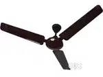 Selling Fan