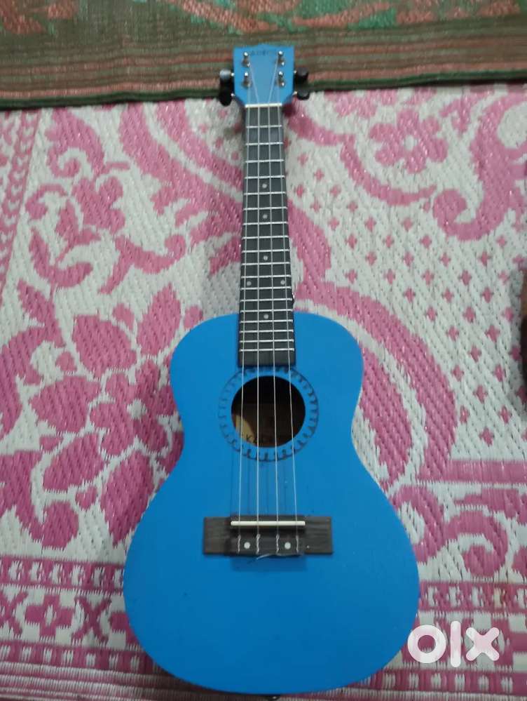 Ukulele brand new