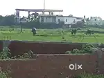 Land near kanhauli bus stand and on main highway project