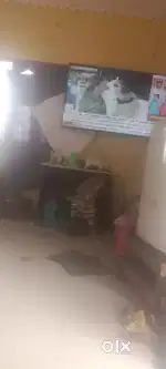 65 kodak tv