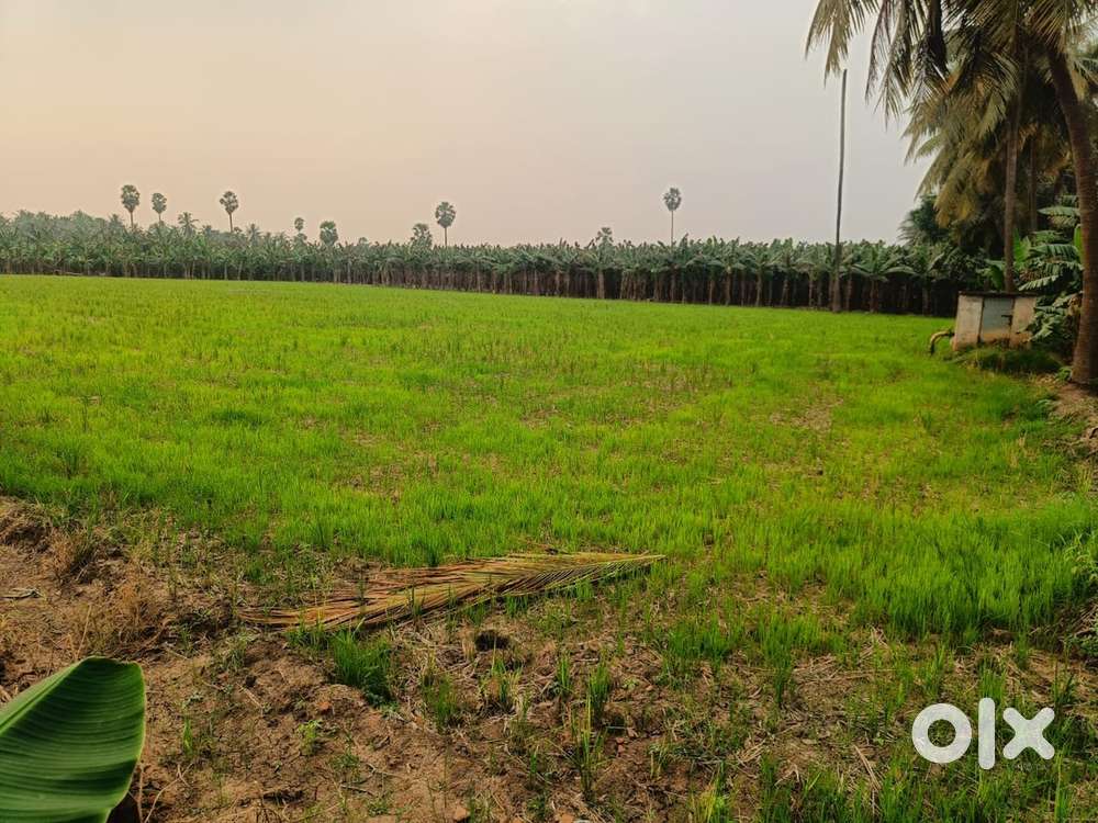 1 acres 56 cents Agriculture land at  Mortha to Veladur road.
