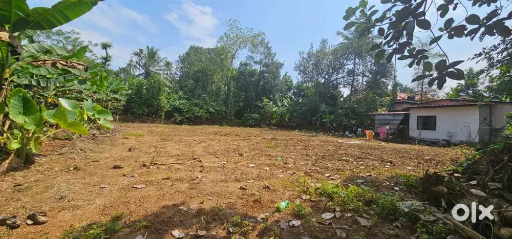 PLOT FOR SALE AT SANCRANTHI, PERUMBAIKADU 3.5 L per
