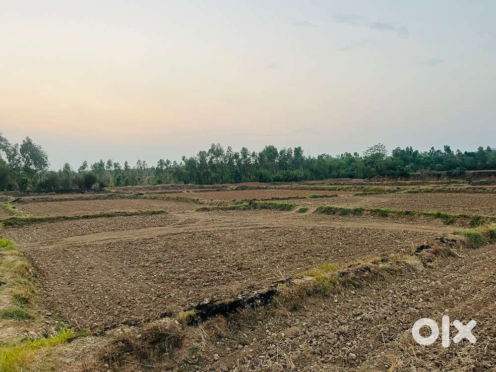 Plote for sale urgent sale only Contact Dealar