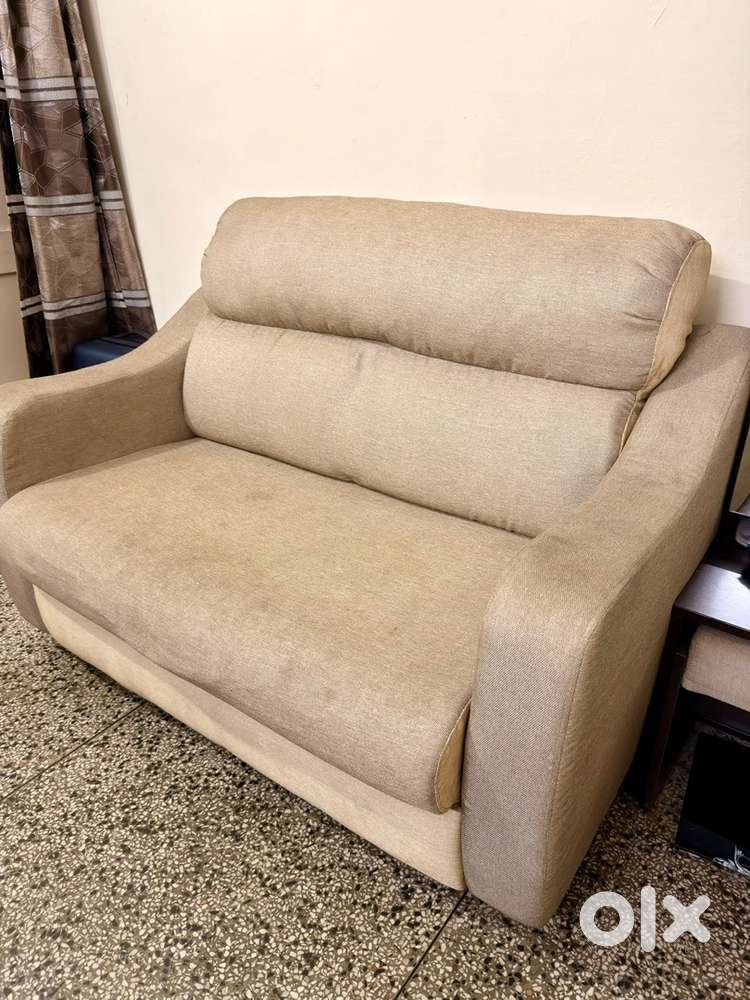 Godrej make two seater sofa