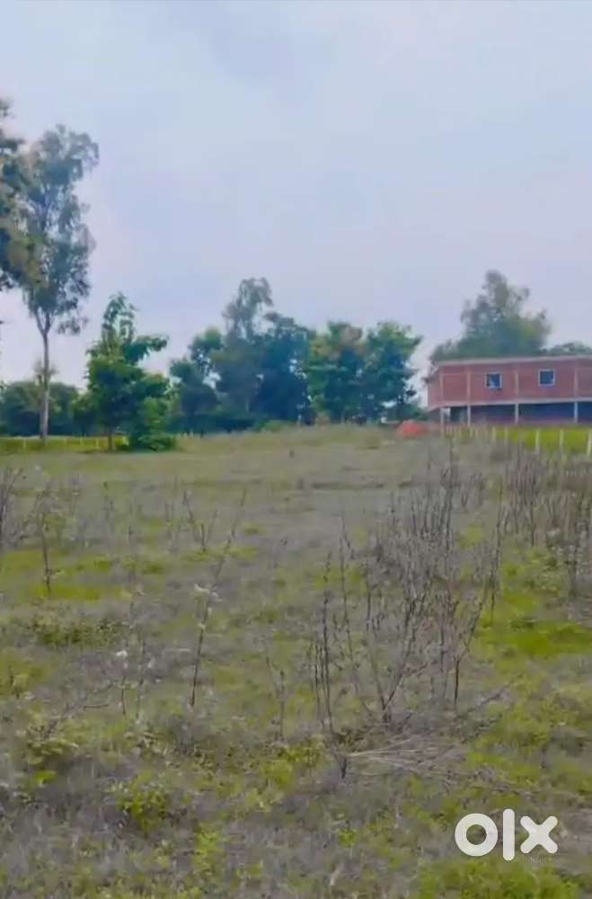 Hetimpur kushmi market Gorakhpur side