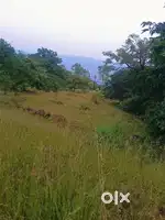 12 Acre open Agriculture Farmhouse Land for sale