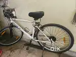 Vector 91 cycle