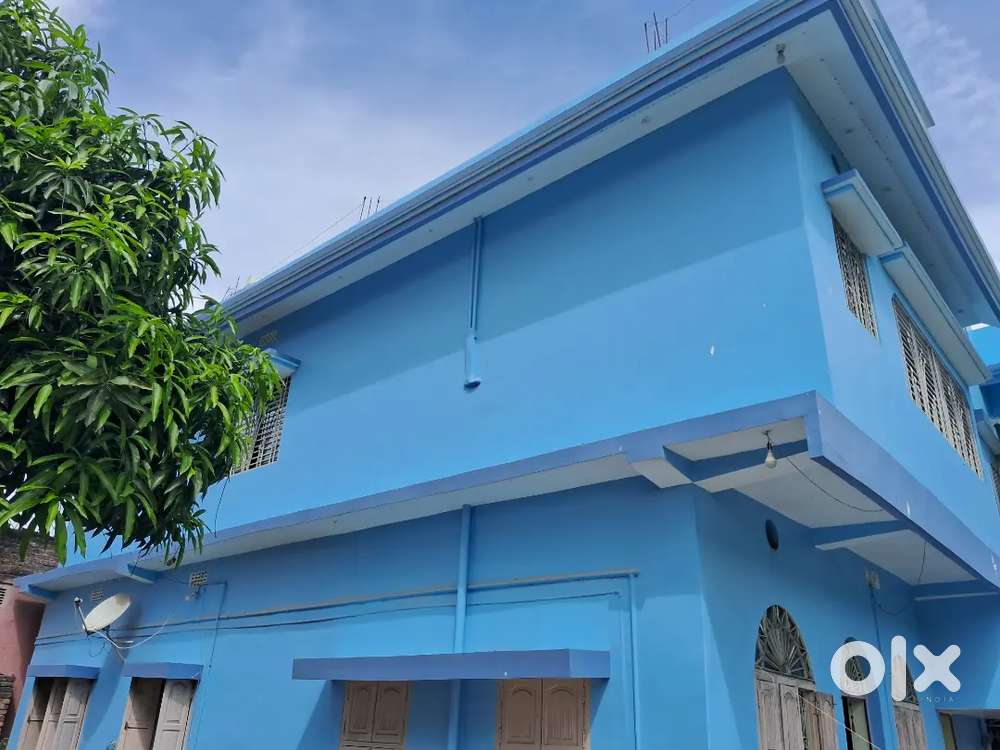 Flat for rent near SBI Main branch mirchaibari