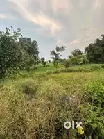 40 Marla Plot Sale at 70,000 Per Marla ( Jandial , Ghrota )