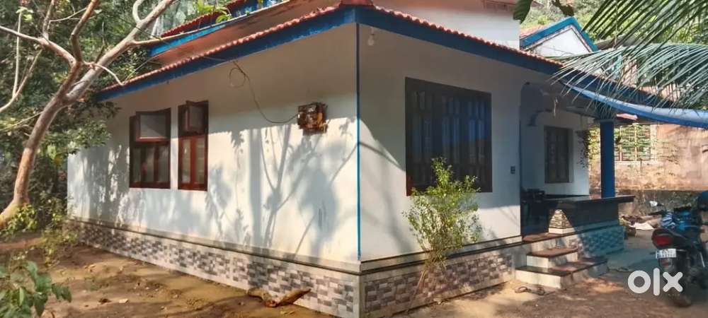 House with 13 cent for sale