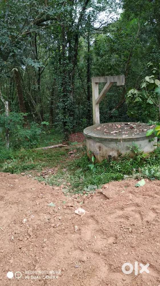 Near mc bypass and santhigiri( only 100 MTRS from mc bypass)