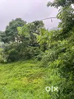 14 cent Housing and commercial Plot Manathavadi 6km