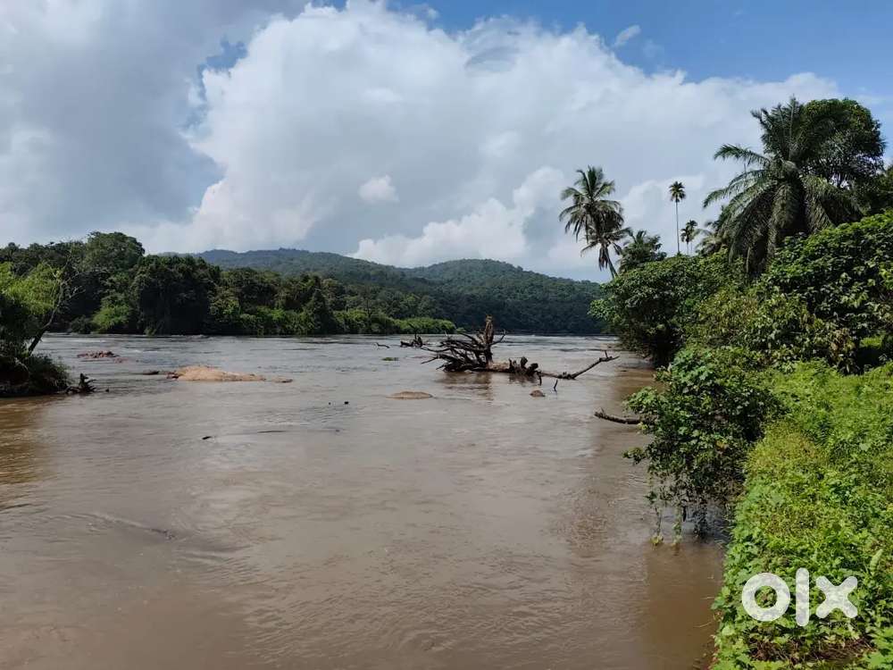 Kothamangalam kuttampuzha 2 acre for sale