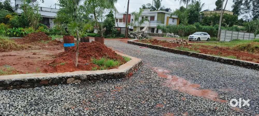 അങ്കമാലി ടൗണിന് സമീപം തുറവൂർ 500 മീറ്റർ ദൂരത്തിൽ 4, 5, 8, 10 സെൻ്റ്