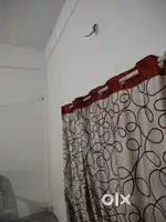 Urgent Room for rent