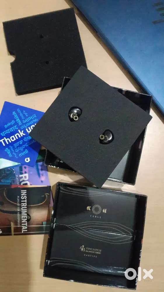 IEM earphone of Linsoul TANGZU used by gamers and professionals