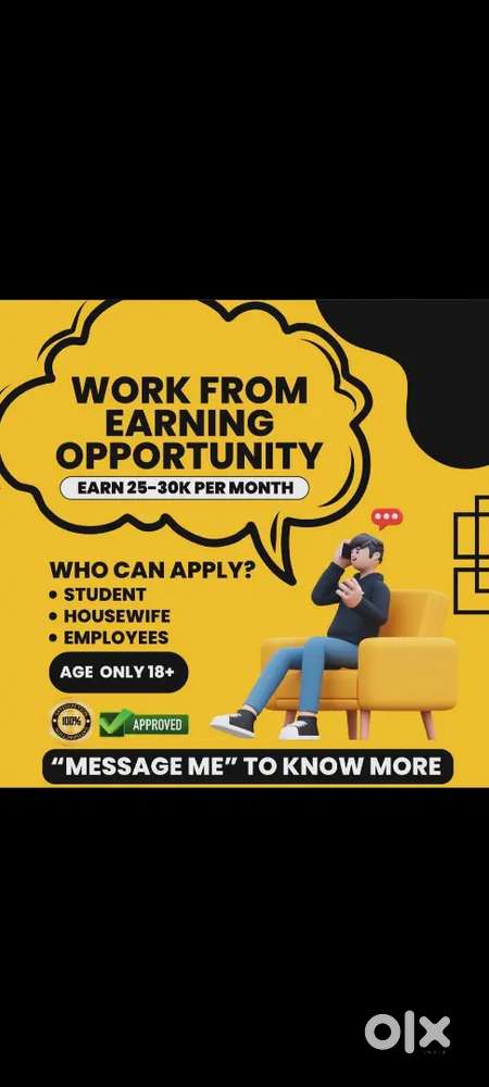 Work from home & all house wife job person &study boys