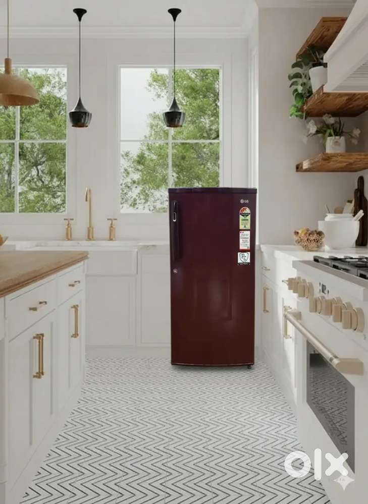LG 4 star maroon single door refrigerator