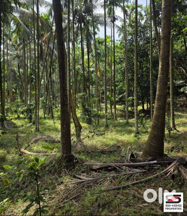 Farmland for sale in Malampuzha, Palakkad