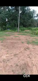 5 cent House plot for Sale