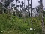 55 Cent Plot for Sale in Valavayal, Wayanad