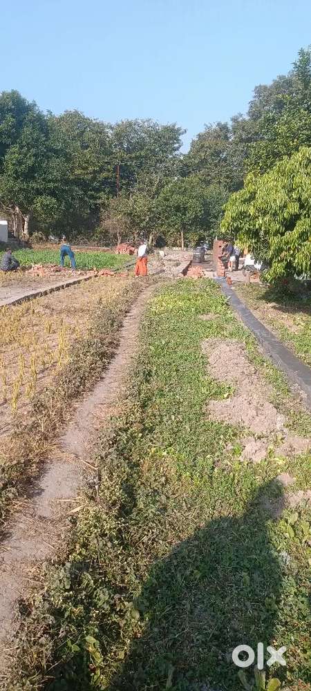 Kaluwala 300 gaj 22k per gaj 50 meter main road 15feet road in plot
