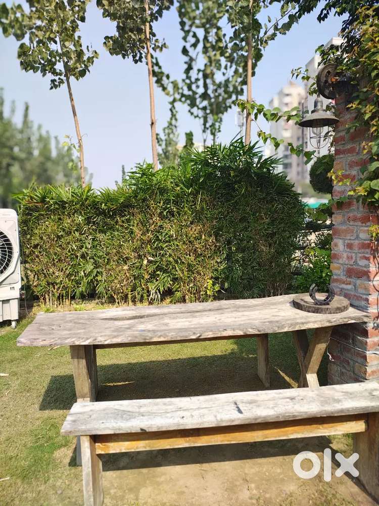 Need cook for the cafe