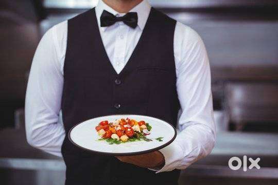 Urgent Staffs needed for Housekeeping & Steward for Resort at Varkala