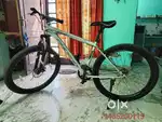Phoenix 29 Inch Bicycle