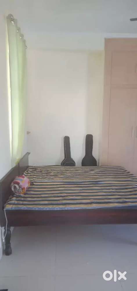 Need a room mate