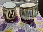 Tabla, 3 months old
