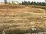 Low budget properties sale ( Brokers No call )