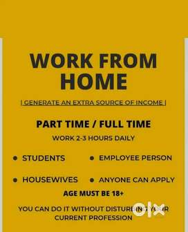 WORK FROM HOME FOR STUDENTS, HOUSEWIFES AND JOB PERSONS