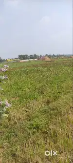 AGRICULTURE/COMMERCIAL LAND FOR SALE AT RAGHUMANDA VL-DENKADA MANDAL