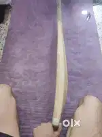 SS Cricket bat