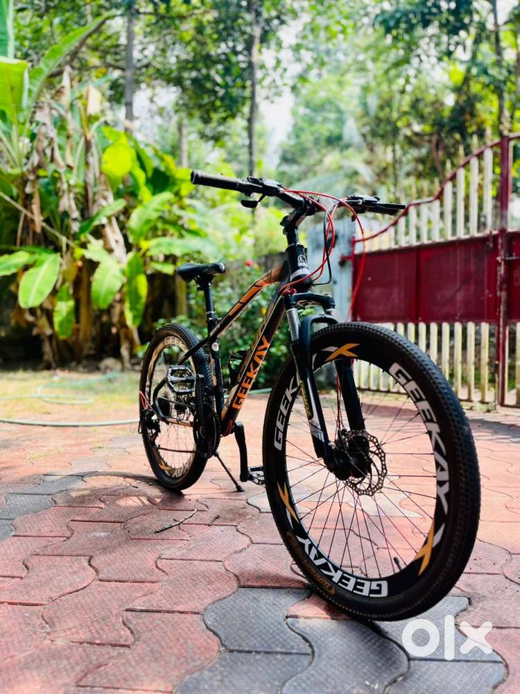 Geekay Pegaz 21 Speed SportsMountain bike