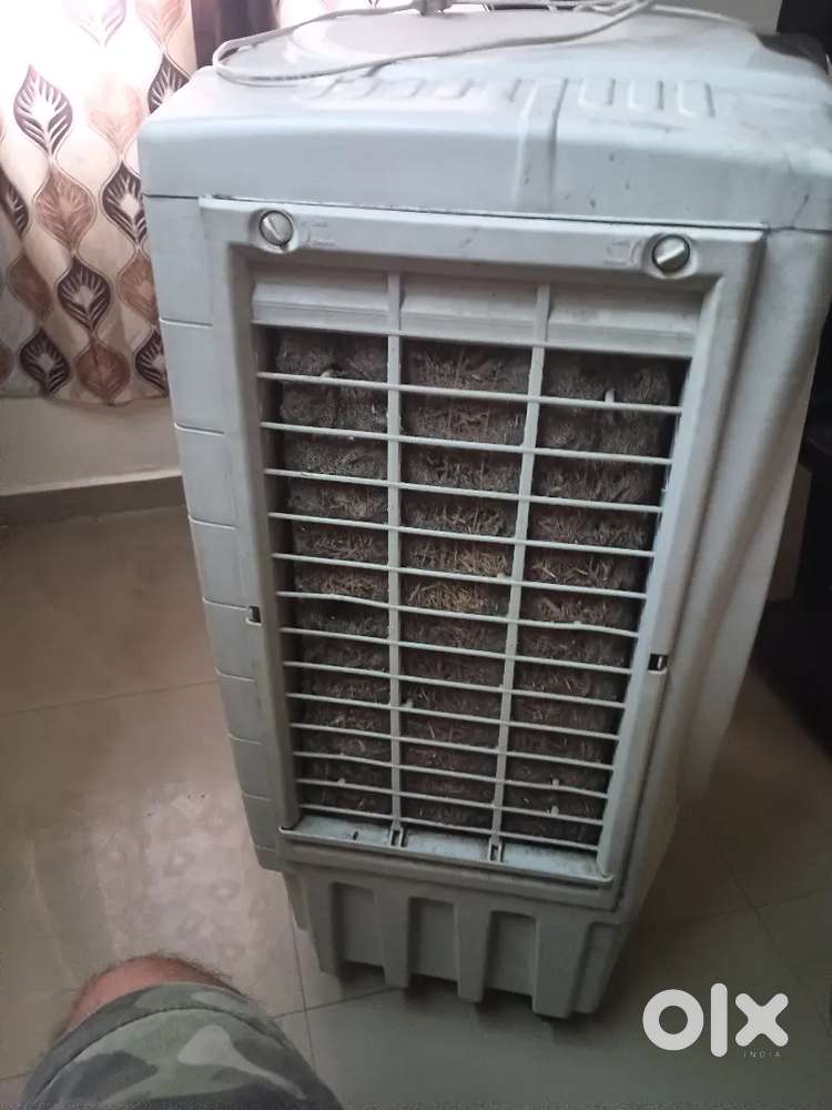 Orient electric Cooler