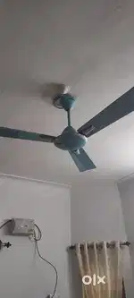 Ceiling Fans