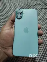 iPhone 16 +