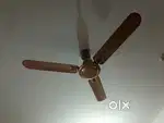 Bajaj Ceiling Fan Beautiful range 1200 mm 3 blade