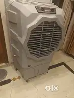 Cooler jumbo
