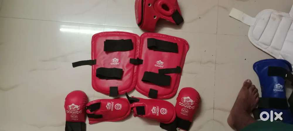 Karate kit Gokaido