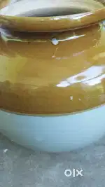 Pickle jar