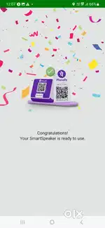 Phonepe private limited company