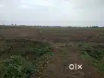2 Acers Land Thar Road Face Per Acer 1,60,00,000