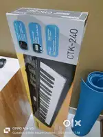 Casio musical instrument