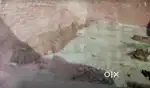 Jalaun me mil raha hai pilot