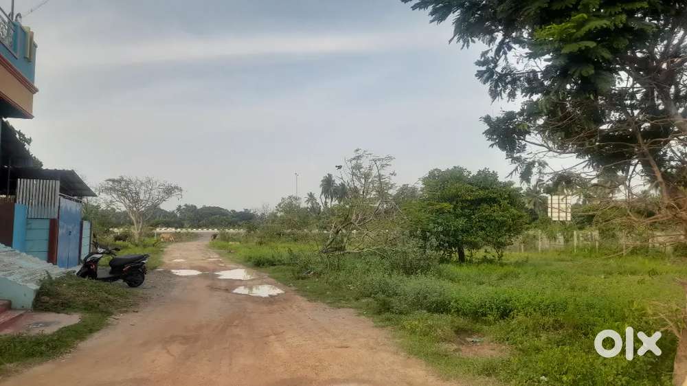 24*60 INVESTMENT PLOT NEAR BYPASS KORKADU SABTAGRI DREEM CITY VILIANUR