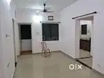 Need room mate